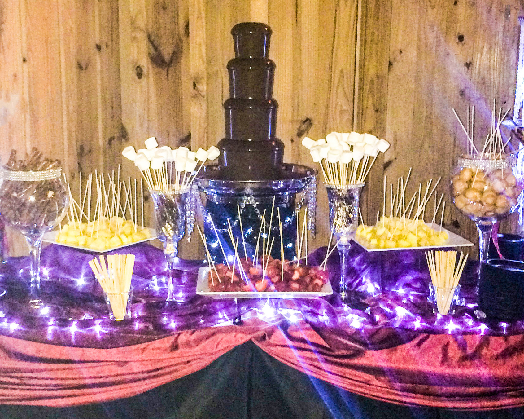 Chocolate Fountain/Candy Buffet/Popcorn/Candy Floss/Complete Business & Website 